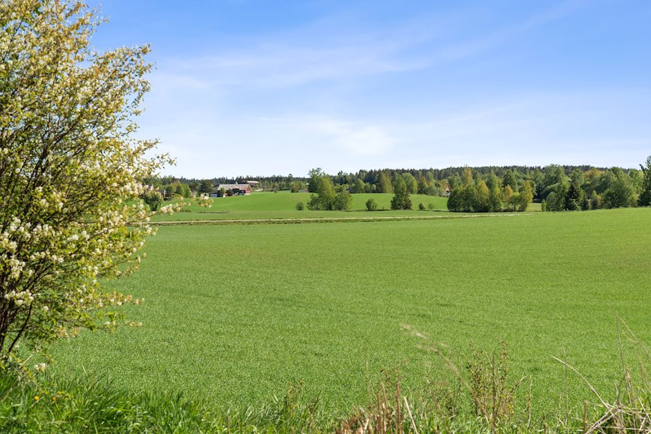 Kjøkken med spiskammers